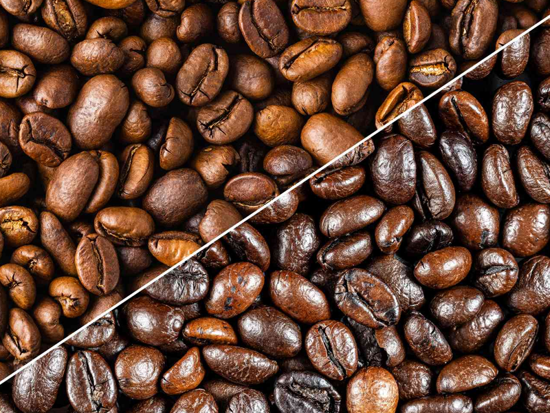 Arabica vs Robusta Coffee Beans
