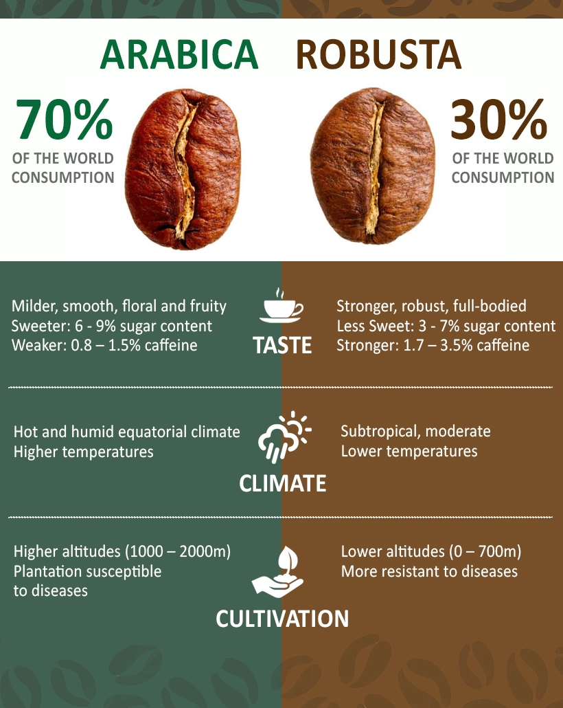 Arabica vs Robusta