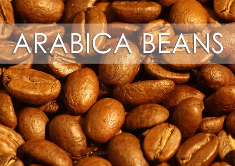 Arabica Coffee Beans