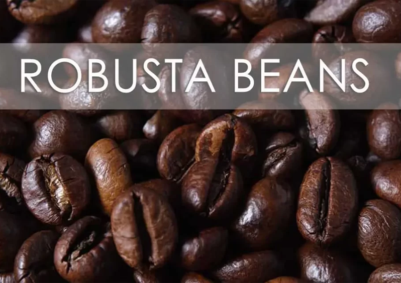 Robusta Coffee Beans