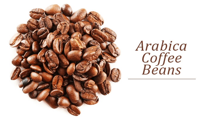 A high-resolution close-up of a pile of roasted Arabica coffee beans against a clean white background, with the text "Arabica Coffee Beans" featured on the right side.